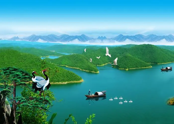 高性能高性能全自动